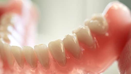 A close-up image of a denture
